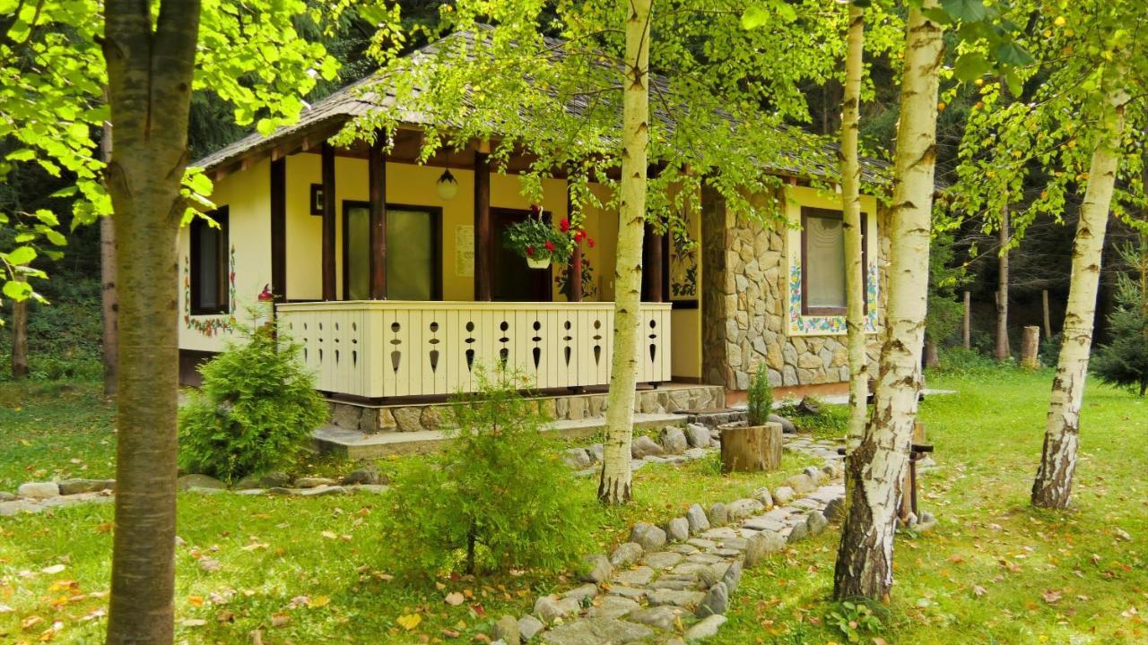 Fratii Jderi - Utopia Verde Brezoi Zewnętrze zdjęcie
